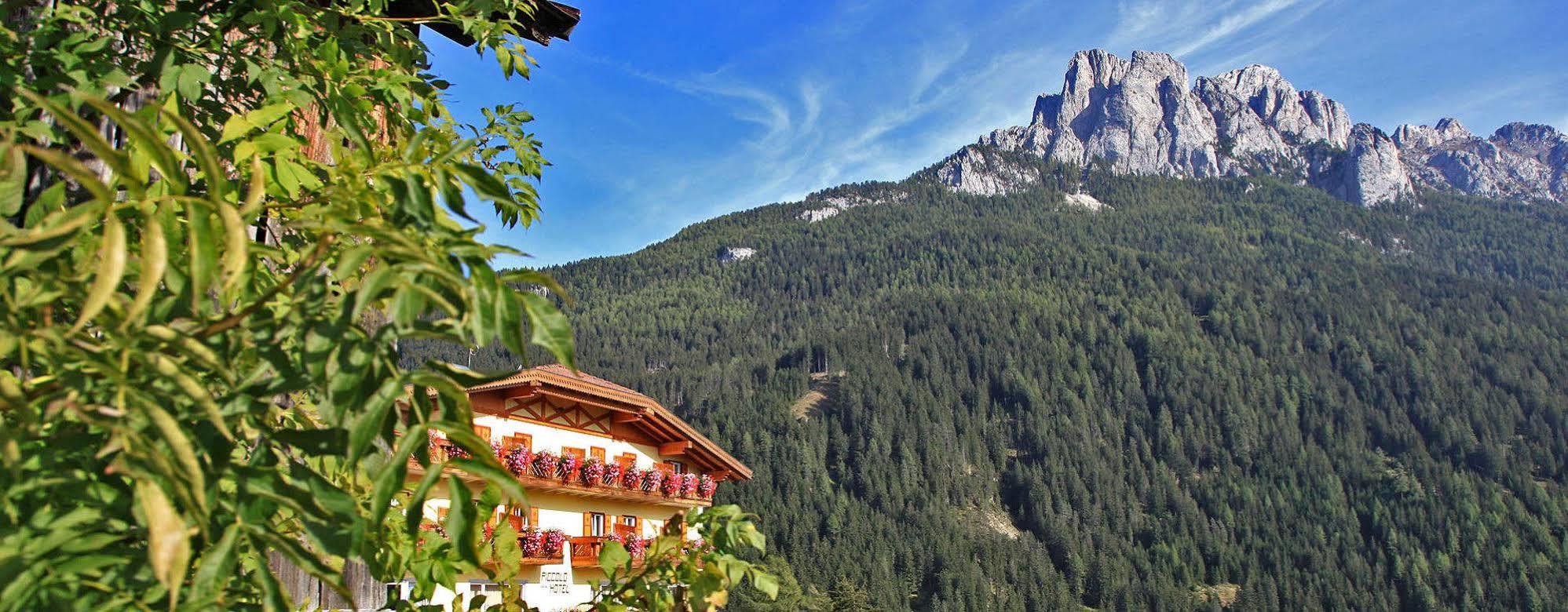 Al Piccolo Hotel Vigo di Fassa Ngoại thất bức ảnh
